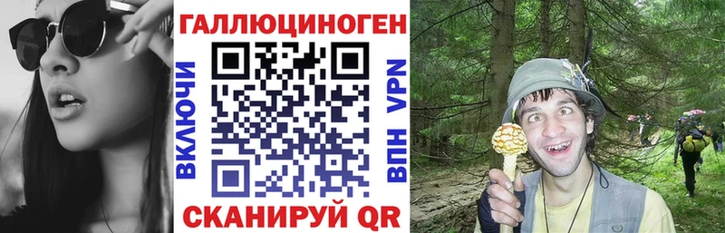 Псилоцибиновые грибы GOLDEN TEACHER  mega ONION  Армавир  как найти закладки 